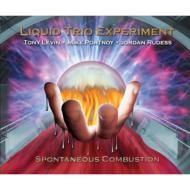 Liquid Trio Experiment/Spontaneous Combustion