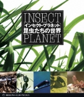 Insect Planet Konchu Tachi No Sekai