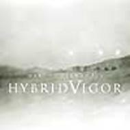 Marcos Fernandes/Hybird Vigor
