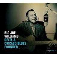 Big Joe Williams/Delta  Chicago Blues Founder (24bit)(Digi)