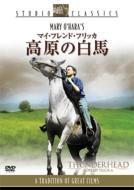 Thunderhead -Son Of Flicka-