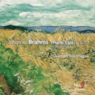 ブラームス（1833-1897）/Piano Trio.1 3： Guarneri Trio Prague (Hyb)