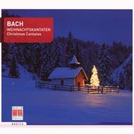 Хåϡ1685-1750/Cantatas For Christmas Rotzsch / Neue Bachisches Collegium Musicum Thomanerchor