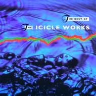 The Best Of The Icicle Works