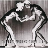 Nature Mortes -Still Lives