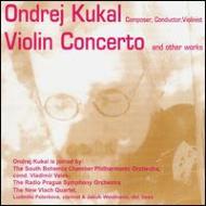 Kukal Ondrej (1964-) *cl*/Violin Concerto Etc： Kukal(Vn) Valek / Etc