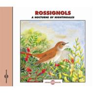 󥺡֡ͥ㡼/Nocturne Of Nightingales