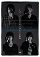 Under Graph To Iu Band No Eizo