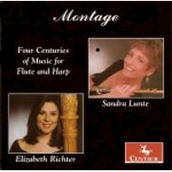 Flute Classical/Montage-music For Flute ＆ Harp： Lunte(Fl) E. richter(Hp)