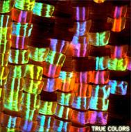 True Color