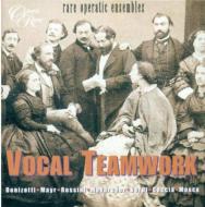 Opera Arias Classical/Vocal Teamwork-opera Ensemble： V / A