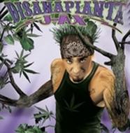 J-ax (Articolo 31)/Disanapianta - Repackage