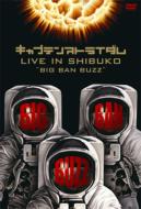 LIVE IN SHIBUKO �gBIG BAN BUZZ