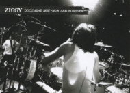 ZIGGY/Document 2007 - Now And Forever