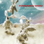 Mushroomcat Record