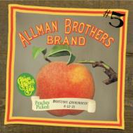 Allman Brothers Band/Boston Common 8 / 17 / 71