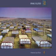Momentary Lapse Of Reason