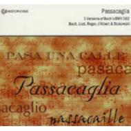Хåϡ1685-1750/Passacaglia(Original  Stokowski Liszt D'albert Reger's Arrangements)