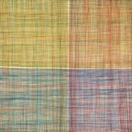 Plays The Modular Synth