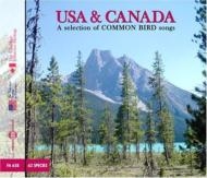Usa & Canada: Selection Of Common Birds Songs