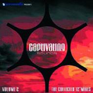 Various/Captivating Sounds Collected 12 Mixes Vol.2