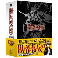 Black Cat Dvd-Box