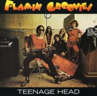 Flamin'Groovies/Teenage Head (Rmt)