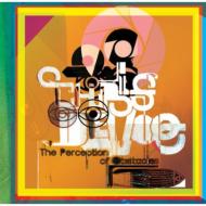 Perception Of Obstacles