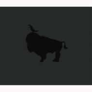 Sukimaswitch Arena Tour'07: W-Arena (+DVD)(LTD)