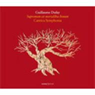 ǥեc.1400-1474/Motets Vol.2 Maletto / Cantica Symphonia