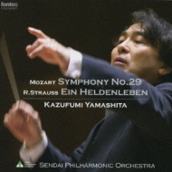 Kazufumi Yamashita / Sendai Philharmonic Orchestra