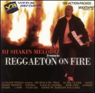 Reggaeton On Fire