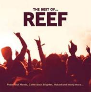 Reef/Best Of