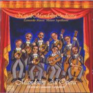 Napoli Mandolin Orchestra/Mandolin Plays Opera