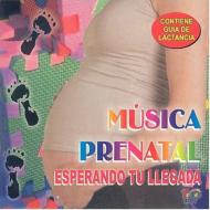 Musica Prenatal: Esperando Tu Llegada