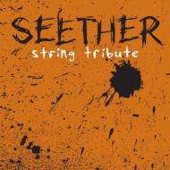 Various/Seether String Tribute