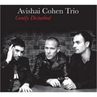 Avishai Cohen (Bassist)/Gently Disturbed (Digi)