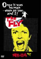 The Fly