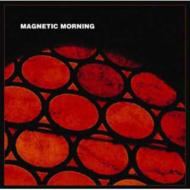 Magnetic Morning