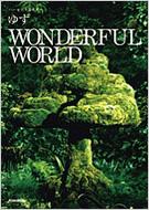 䂸 / Wonderfulworld n-jJ & M^-