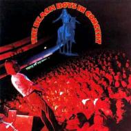 The Beach Boys In Concert