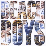 The Beach Boys