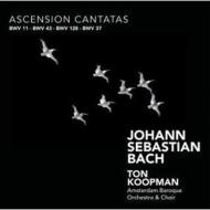 Хåϡ1685-1750/Cantata.11 37 43 128 Koopman / Amsterdam Baroque O  Cho