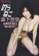 ̂˂ XI & WILD CATS łȂꂨ m HRD 舤߂ā