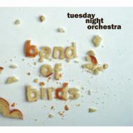 Tuesday Night Orchestra/Band Of Birds