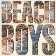 Beach Boys 85