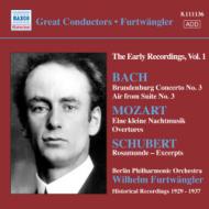 フルトヴェングラー
プフィッツナー
LP＆CD 3点セット The Furtwängler Center's new CD-R set has been announced