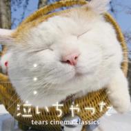 ԥ졼/㤤ä! V / A