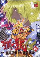 Saint.Seiya Episode.G Vol.15