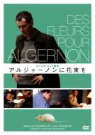 Des Fleurs Pour Algernon